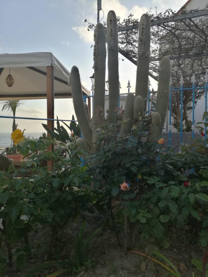 Villa Loreta Forio di Ischia Exterior foto