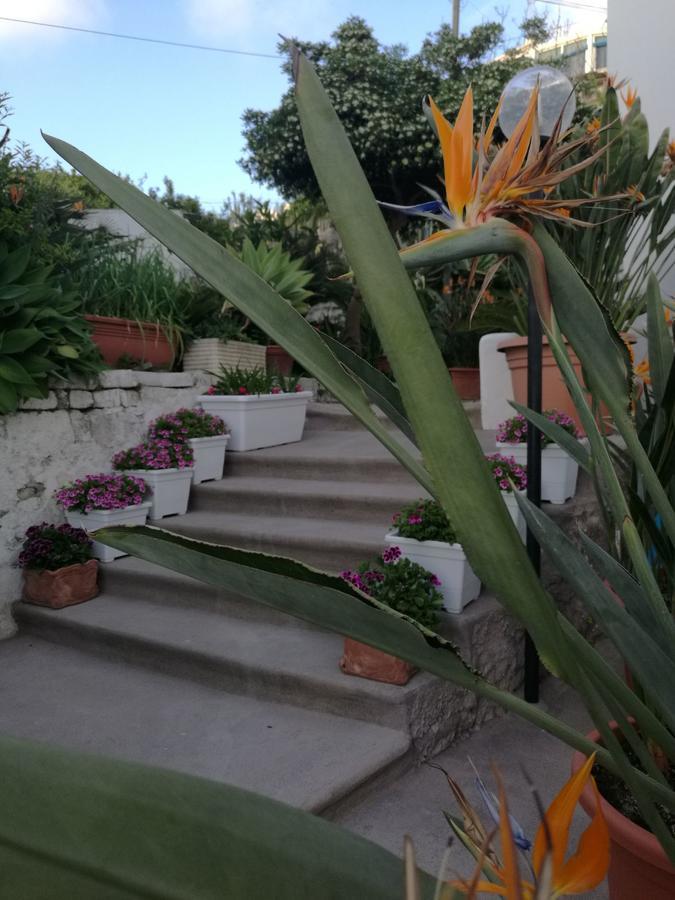 Villa Loreta Forio di Ischia Exterior foto