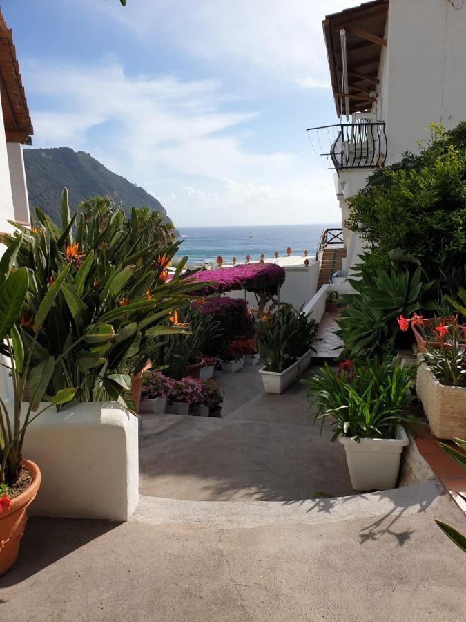 Villa Loreta Forio di Ischia Exterior foto